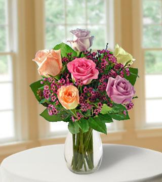 6 Pastel Long-Stem Roses