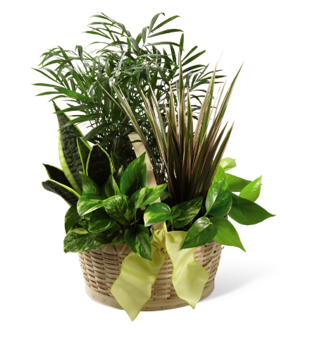 FTD® French Garden™