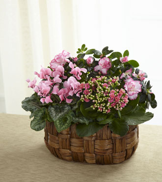 FTD® Pink Assortment