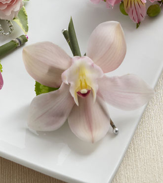FTD® Pink Cymbidium Boutonniere