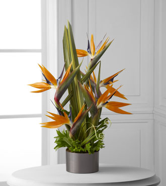 FTD® Tropical Bright™ Arrangement
