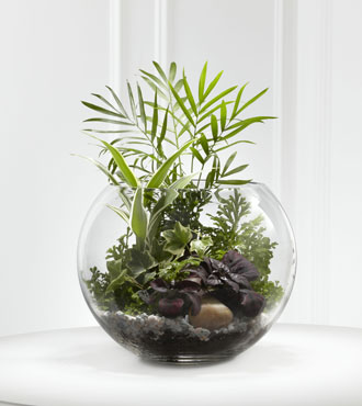 FTD® Woodland Greens™ Terrarium