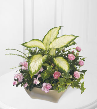 FTD® Garden of Grace™ Planter
