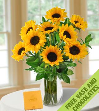 Sunflowers FREE Vase & Chocolate Box