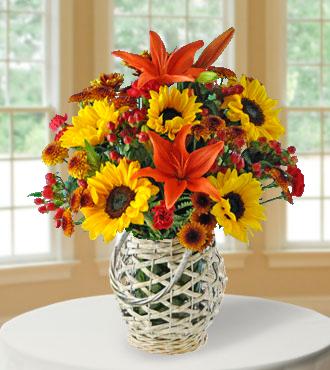 Autumn Glory
