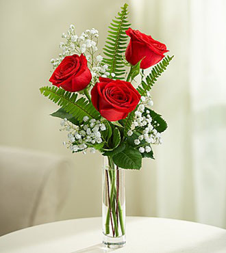 3 Red Long-Stem Roses