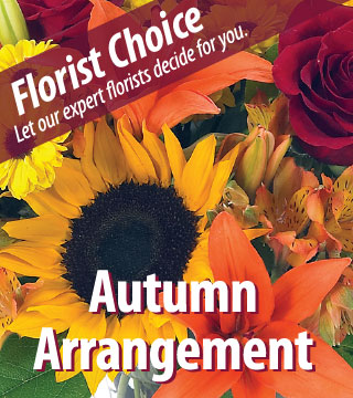 Florist Choice - Autumn