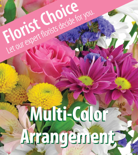 Florist Choice - Multi-Color