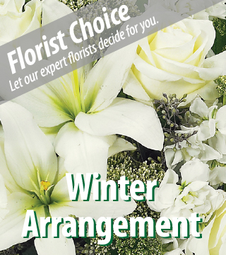 Florist Choice - Winter Arrangement