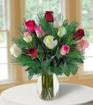 24 Multi-color Holiday Roses