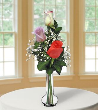 3 Multi-Color Long-Stem Roses
