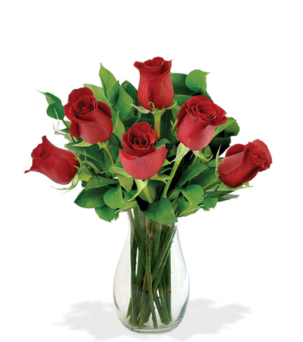 6 Red Long-Stem Roses