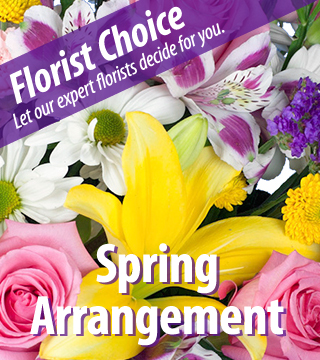 Florist Choice - Spring