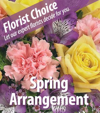 Florist Choice - Spring