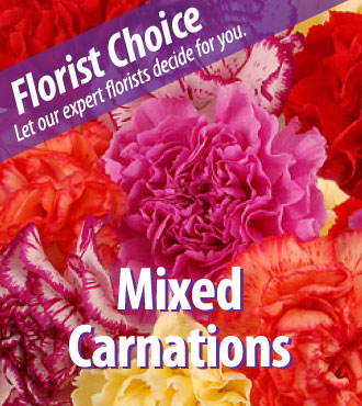 Florist Choice - Mixed Carnations