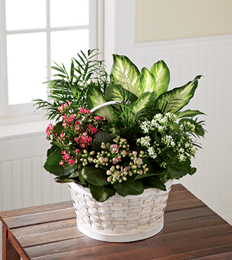 FTD® Rural Beauty™ Dishgarden