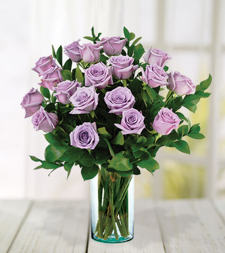 18 Lavender Roses