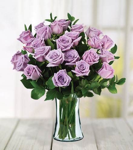 24 Lavender Roses