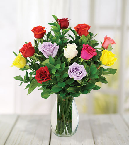 12 Multi-Color Roses