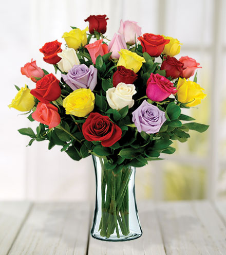 24 Multi-Color Roses