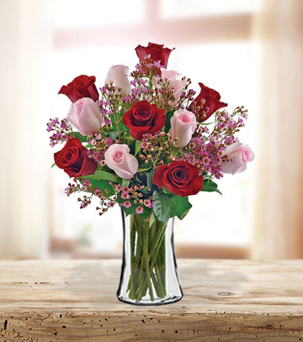 12 Pink & Red Roses