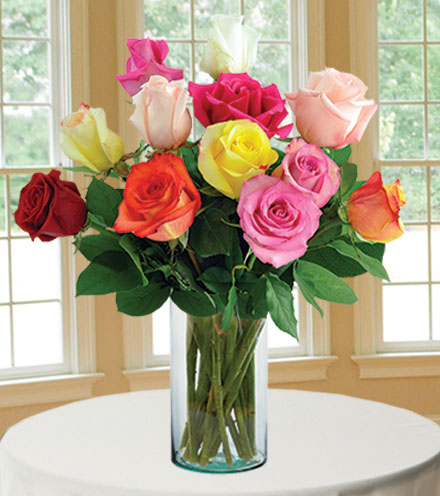 12 Delightful Roses