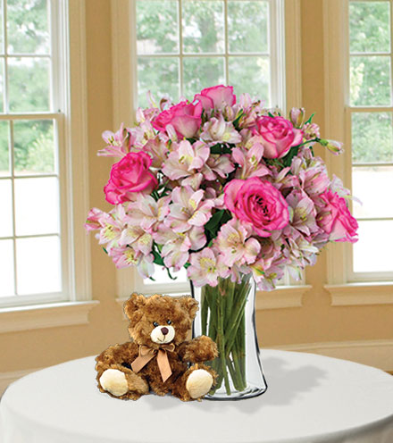 Dreams of Pink Bear Hug