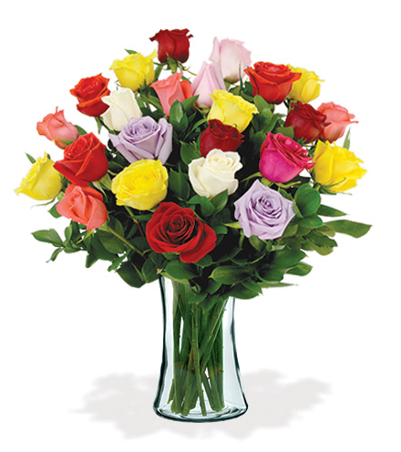 12 Artisan Roses - Multi-Colored