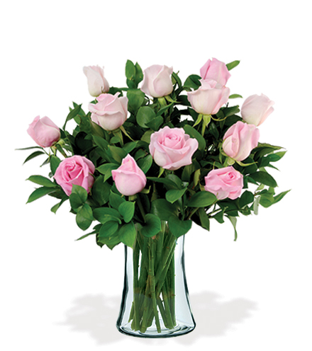 12 Artisan Roses - Pink