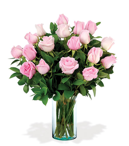 12 Artisan Roses - Pink