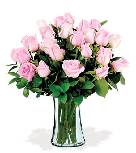 12 Artisan Roses - Pink