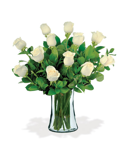 12 Artisan Roses - White