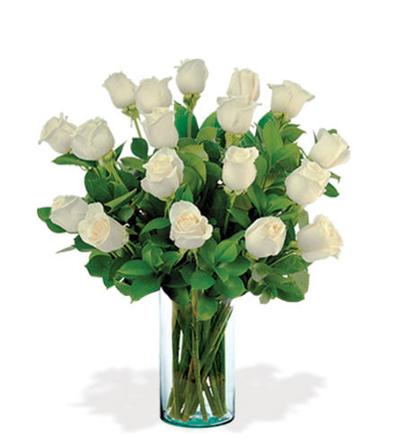12 Artisan Roses - White