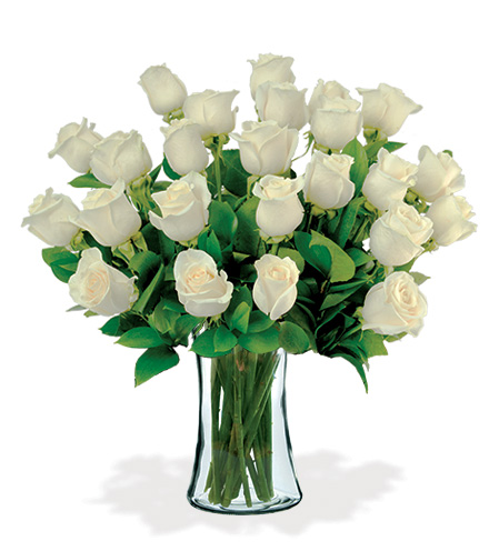 12 Artisan Roses - White
