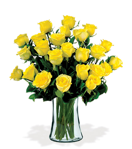 12 Artisan Roses - Yellow