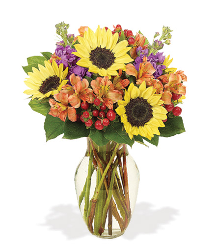 Fall Sunflower Brilliance Bouquet