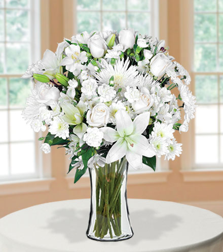 Classic All White Exclusive