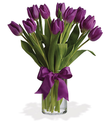 Passionate Purple Tulips