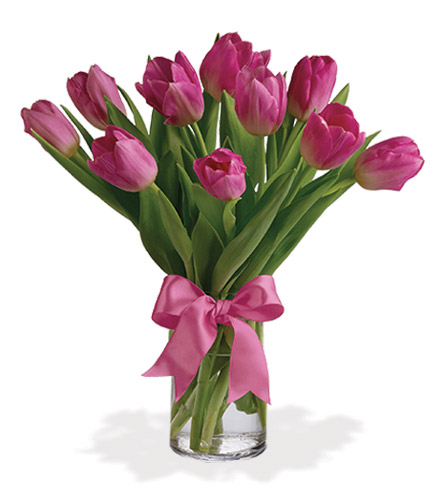 Precious Pink Tulips