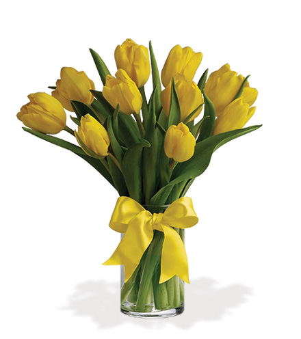 Sunny Yellow Tulips
