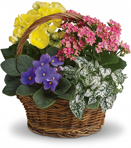 Mixed Garden Basket