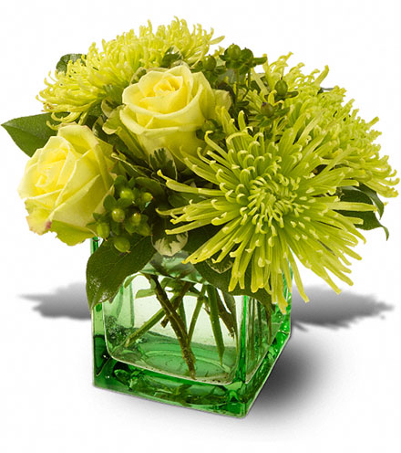 Image of Green Light Flower Delivery