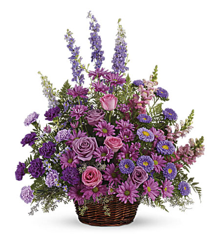 Gracious Lavender