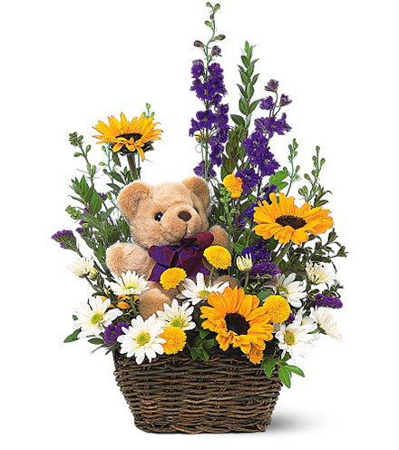 Image of Basket & Bear Arrangement Blooms today