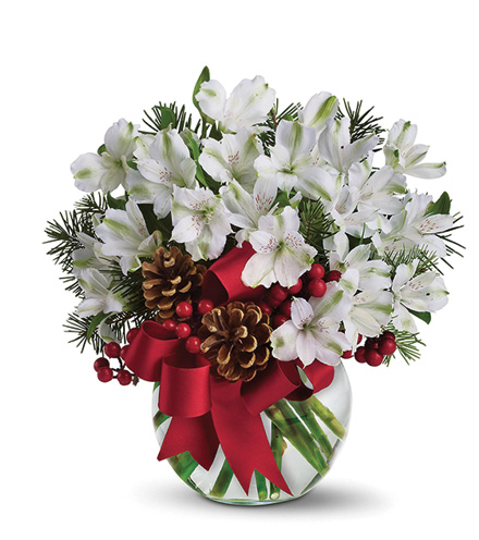 Image of Let It Snow Flower Delivery
