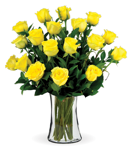 18 Yellow Long-Stem Roses