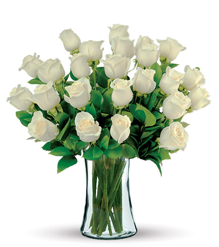 24 White Long-Stem Roses