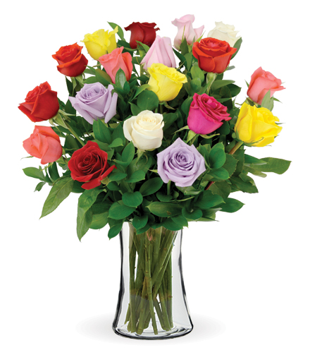 18 Multi-Color Long-Stem Roses