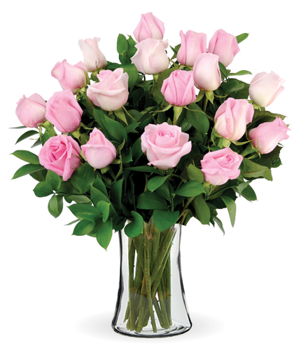 18 Pink Long-Stem Roses