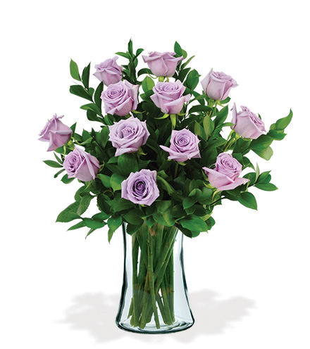 12 Lavender Long-Stem Roses